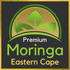 Moringa Eastern Cape