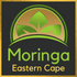 Moringa Eastern Cape