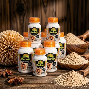 Moringa with Lions Mane
