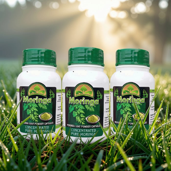 Pure Moringa Powder Capsules